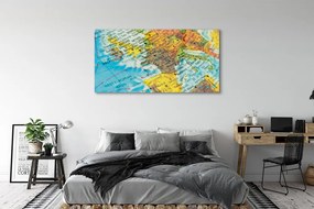 Obraz plexi Zemegule mapa 140x70 cm