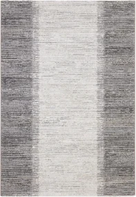 Koberec Ragolle Argentum 63849 9293