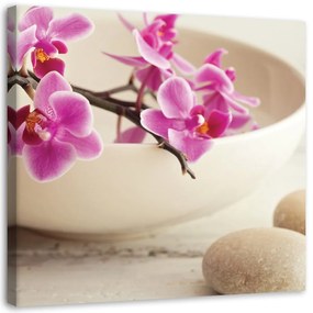 Obraz na plátně Růžové zenové orchideje - 60x60 cm