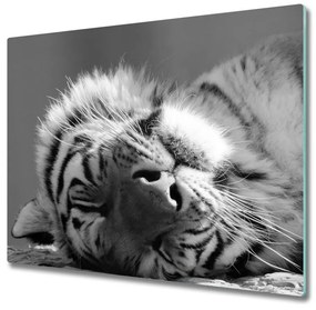 Sklenená doska na krájanie Ospalý tiger 60x52 cm