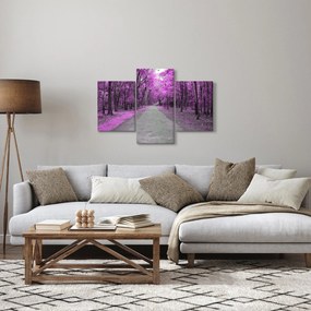 Obraz - Cesta parkom (90x60 cm)