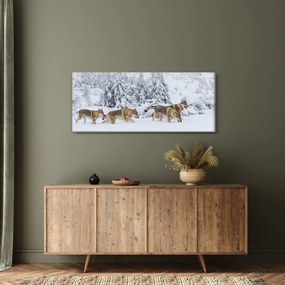 Obraz - Vlci v horách (120x50 cm)