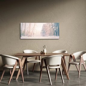 Obraz - Výhľad do lesa (120x50 cm)