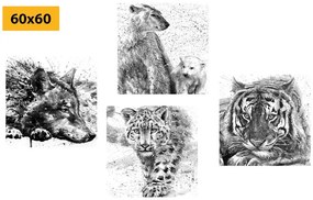 Set obrazov zvieratá v  čiernobielom akvarelovom prevedení - 4x 60x60