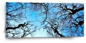 Sablio Obraz Holé konáre - 110x50 cm