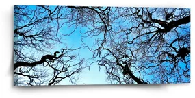Sablio Obraz Holé konáre - 110x50 cm