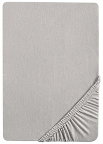 Biberna Napínacia plachta (sivá, 140 – 160 x 200 cm)  (100226989)