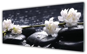 Obraz na akrylátovom skle Kvet kamene 125x50 cm