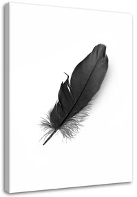 Obraz na plátně Peříčko Black Nature - 40x60 cm
