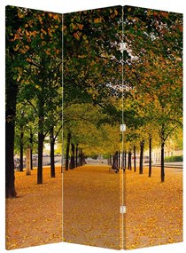 Paraván - Alej jesenných stromov (126x170 cm)