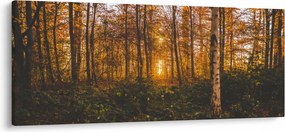 Obraz jesenného lesa (120x50 cm)