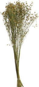 Zväzok sušených kvetov - 12 * 10 * 70 cm