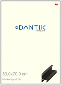 DANTIK rám na obraz 50x70 | ALU Černá matná (Plexi Čiré)