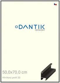 DANTIK rám na obraz 50x70 | ALU Černá matná (Plexi Čiré)