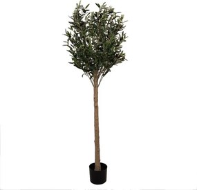 Dekorácia umelý stromček olivovník s olivami Olea Tree - 50*50*165 cm