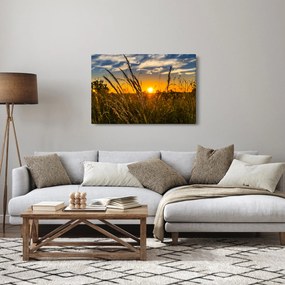 Obraz pole pri západe slnka (90x60 cm)