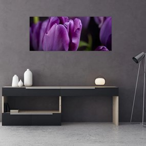 Obraz kvetov tulipánov (120x50 cm)