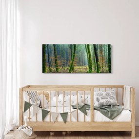 Obraz lesa (120x50 cm)