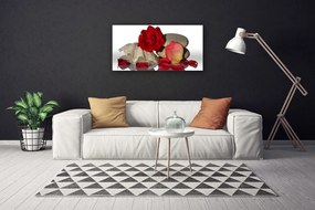 Obraz Canvas Ruže plátky mŕtva príroda 120x60 cm