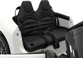 Ramiz Vozidlo Mercedes Benz AMG SL63 Biela