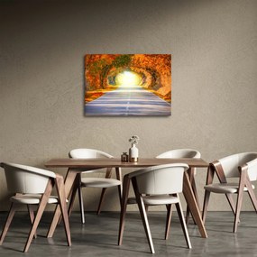 Obraz - Brána z korún stromov (70x50 cm)