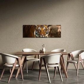 Obraz tigra (s hodinami) (90x30 cm)