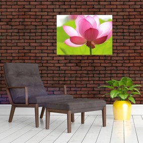 Sklenený obraz kvetu Lotusu (70x50 cm)