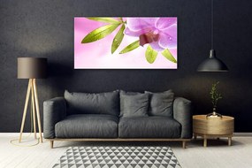 Obraz na akrylátovom skle Kvet listy rastlina 120x60 cm
