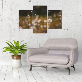 Obraz - Lúka s cottongrass N⁰2 (90x60 cm)
