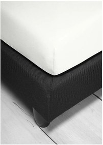 Bierbaum jersey plachta biela - 140-160 x 200 cm