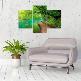 Obraz - Plitvické jazerá (90x60 cm)