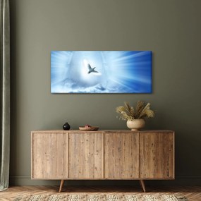 Obraz - Božia holubica (120x50 cm)