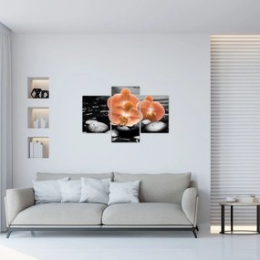 Obraz - Oranžové orchidey (90x60 cm)