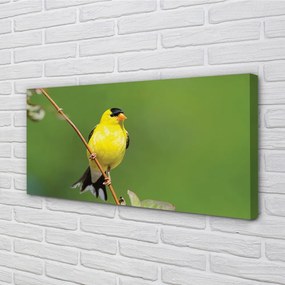 Obraz na plátne žltý papagáj 140x70 cm