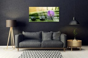 Obraz na skle Kvet kamene bambus príroda 100x50 cm