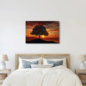 Obraz stromu pri západe slnka (90x60 cm)
