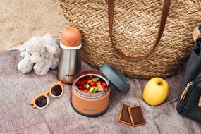 Termoska na jedlo 500ml Mineral Grey / Terracotta