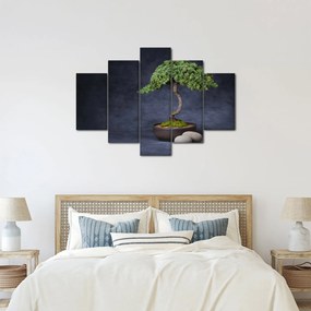 Obraz - Bonsai (150x105 cm)