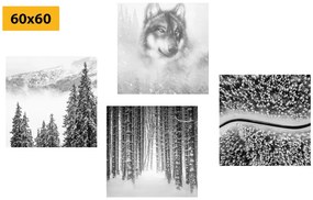 Set obrazov vlk v hlbokom lese v čiernobielom prevedení