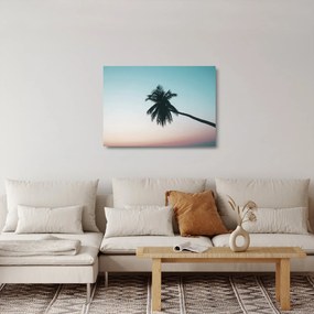 Sklenený obraz - Palma na Bali (70x50 cm)