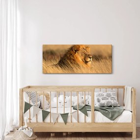 Obraz - Národný park Etosha (120x50 cm)