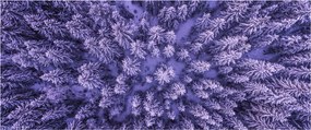 Obraz zasnežených stromov (120x50 cm)