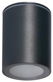 Kanlux 33362 - Vonkajšie bodové svietidlo AQILO 1xGU10/7W/230V IP65 antracit