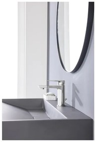 Livarno home Umývadlová batéria (chrómová)  (100366028)