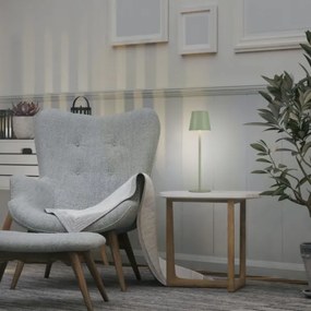 Leuchten Direkt 19250-43 - LED Vonkajšia nabíjacia lampa EURIA LED/3W/5V IP54