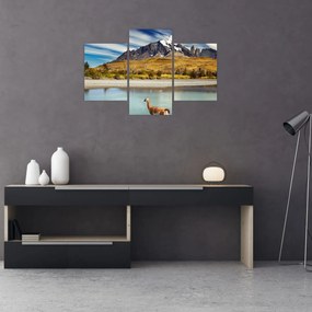 Obraz - Národný park Torres del Paine (90x60 cm)