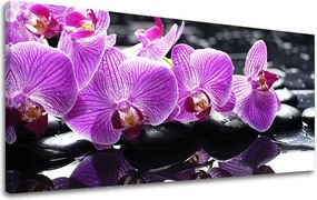 Obraz na stenu PANORÁMA FENG SHUI