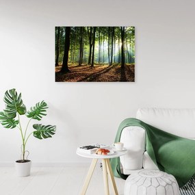 Obraz na plátně Pohled na zelený les Příroda - 60x40 cm