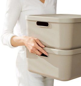 Úložný box, rovný s vekom, 20 l, cappuccino ALBU LIGHT, 40 x 36 x 18 cm