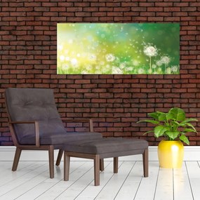 Obraz - Odkvitnuté púpavy (120x50 cm)